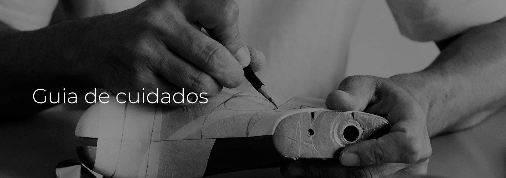 Guia de cuidados