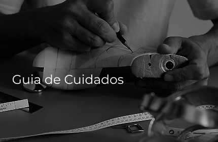 Guia de cuidados