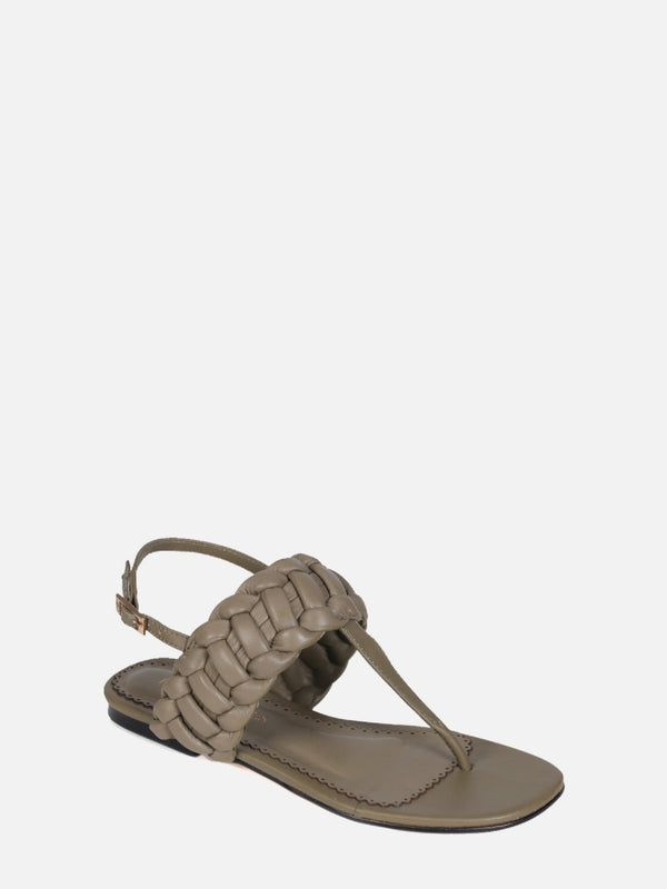 RASTEIRA CARLY OLIVE
