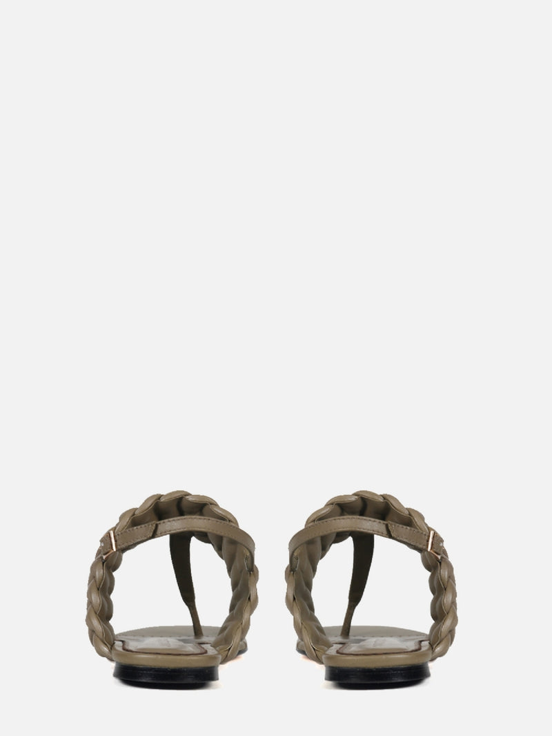 RASTEIRA CARLY OLIVE