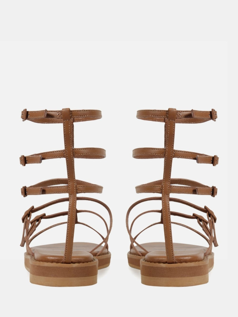 RASTEIRA DOMINIQUE CAMEL