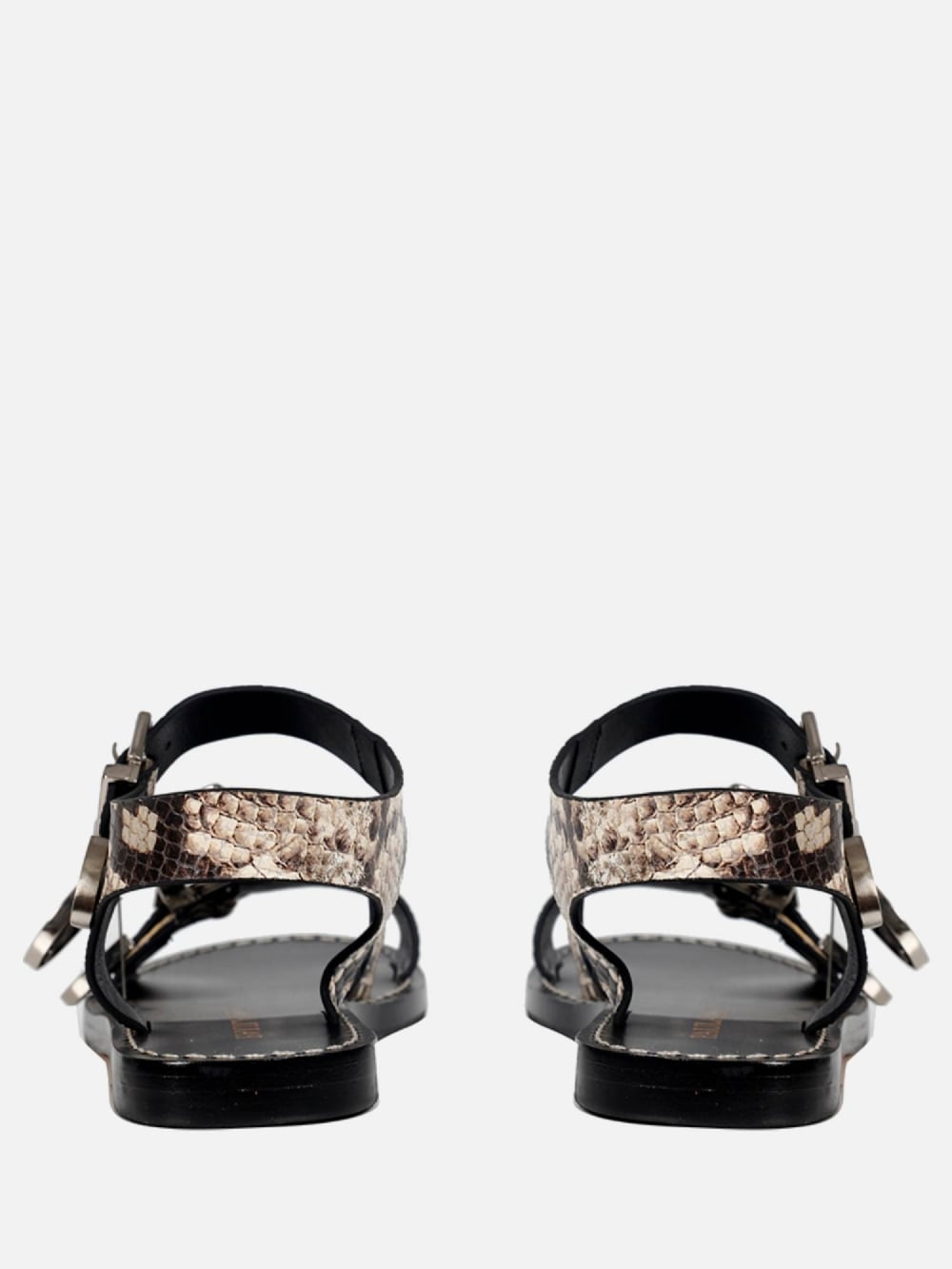 RASTEIRA BETINA SNAKE