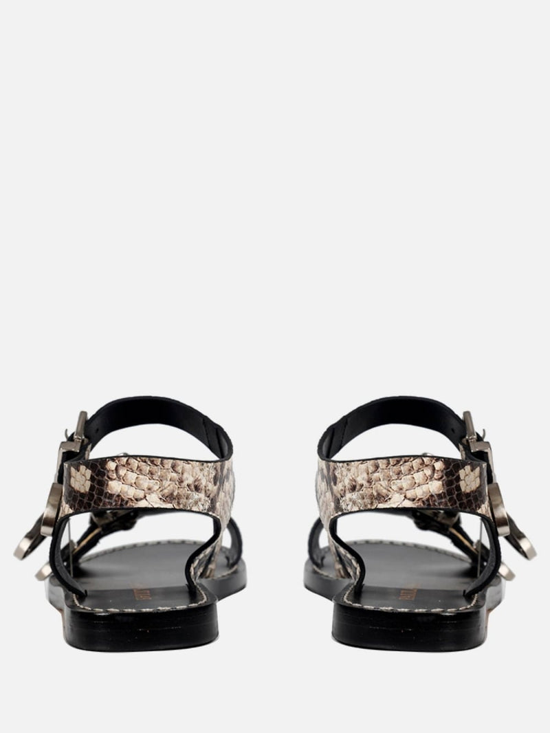 RASTEIRA BETINA SNAKE